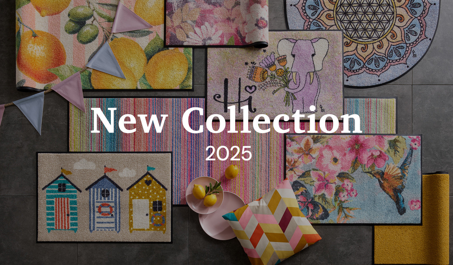 Entdecke unsere neue Kollektion 2025