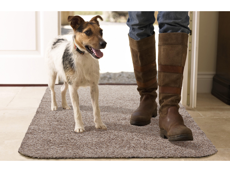 Fußmatte in beige vor der Tür mit Hund und Stiefeln