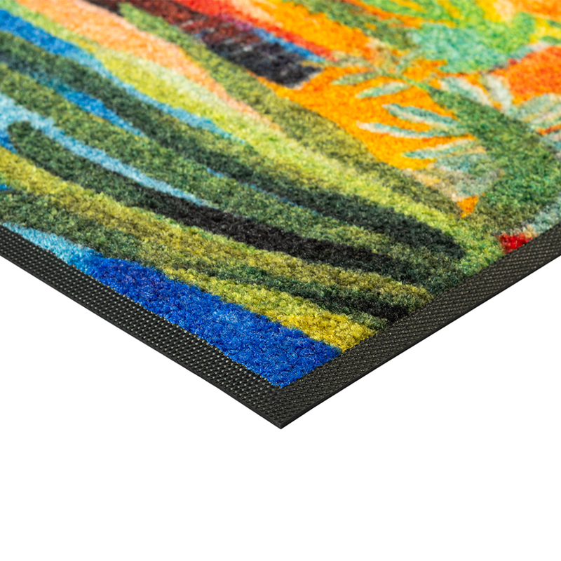 Casas de Colores