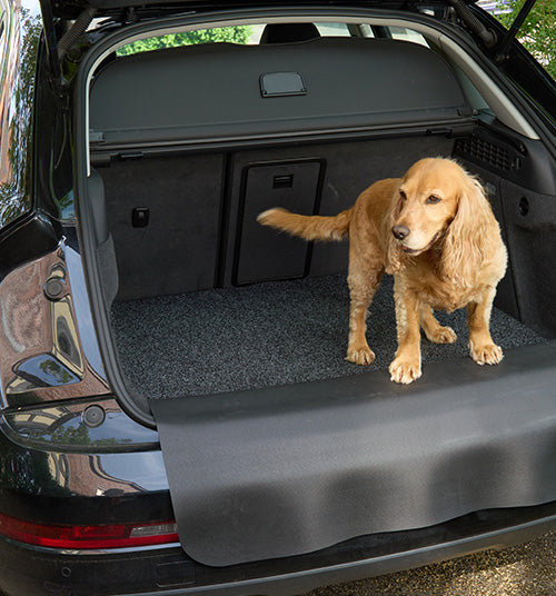 10 reasons for the Kleen-Car Car Protector Set: