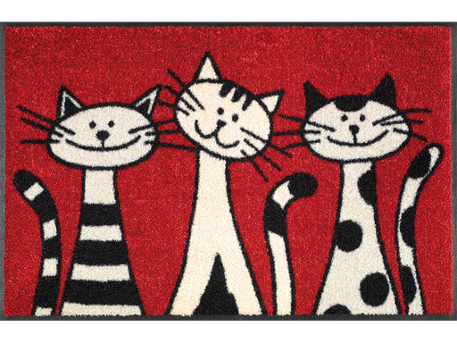 rote Fußmatte mit drei Katzen auf der Fußmatte